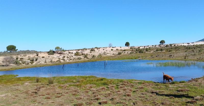 0 Bedroom Property for Sale in Gouritsmond Western Cape
